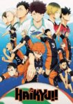 Haikyuu!! Episode 25 (End) Sub Indo